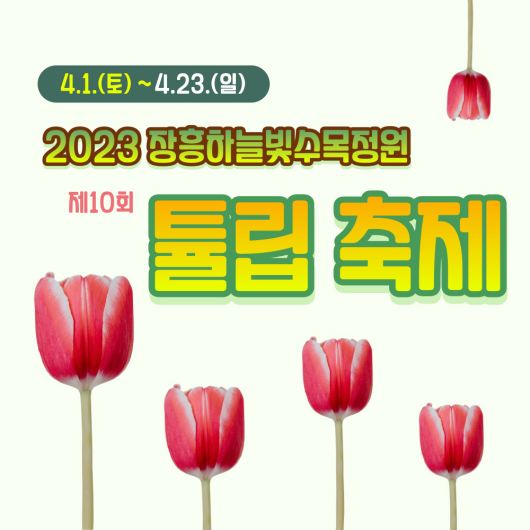 장흥 하늘빛수목원 튤립축제