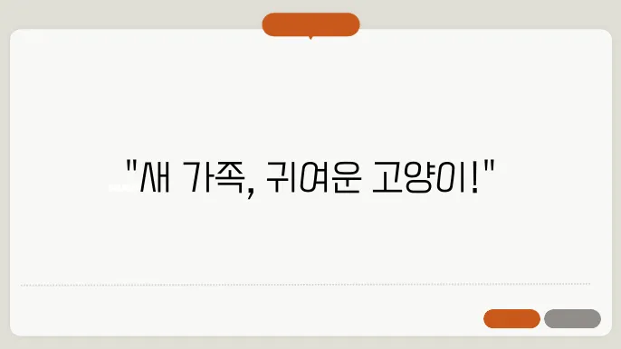 고양이와 함께하는 일상