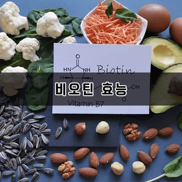 비오틴 효능