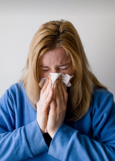 글의 이해를 돕기 위한 사진