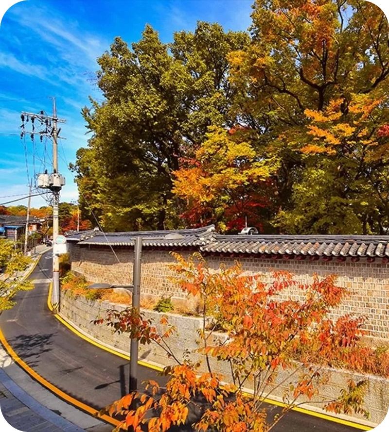 서순라길-종묘-단풍