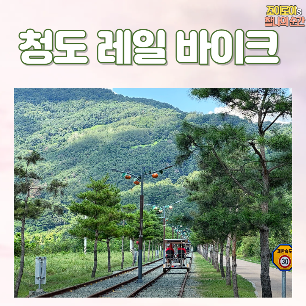청도 레일바이크 요금 예약 리뷰
