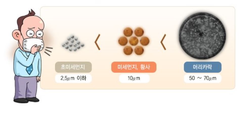 황사의 크기