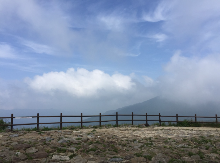 생생정보 김성환의 전라남도 구례군