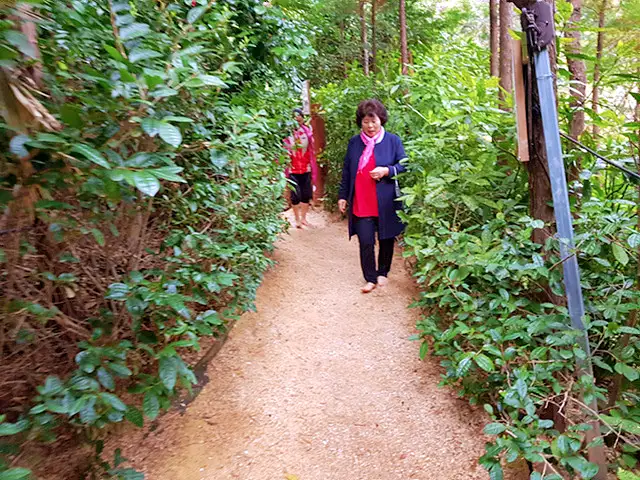 생방송오늘저녁 통영 편백남 숲 속 힐링 맨발 체험 여행 가볼만한 곳 추천