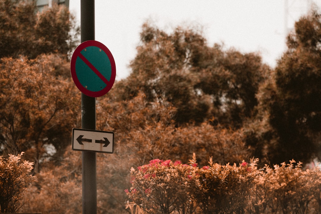 Signal