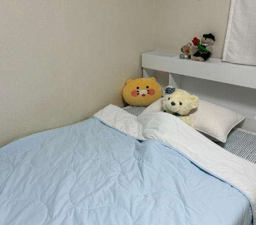 누감 냉감이불 내돈내산 효과