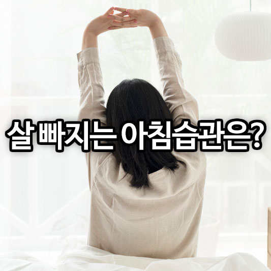살 빠지는 아침습관은?