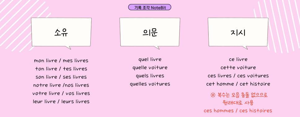 프랑스어 소유형용사 ses, leur, leurs와 지시형용사 cet, ces의 사용 규칙을 정리한 이미지