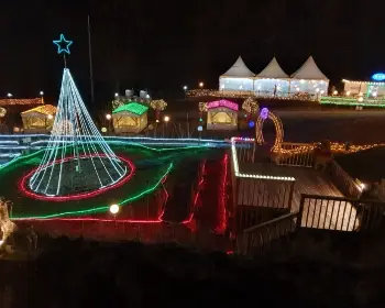 고니골 빛 축제_9