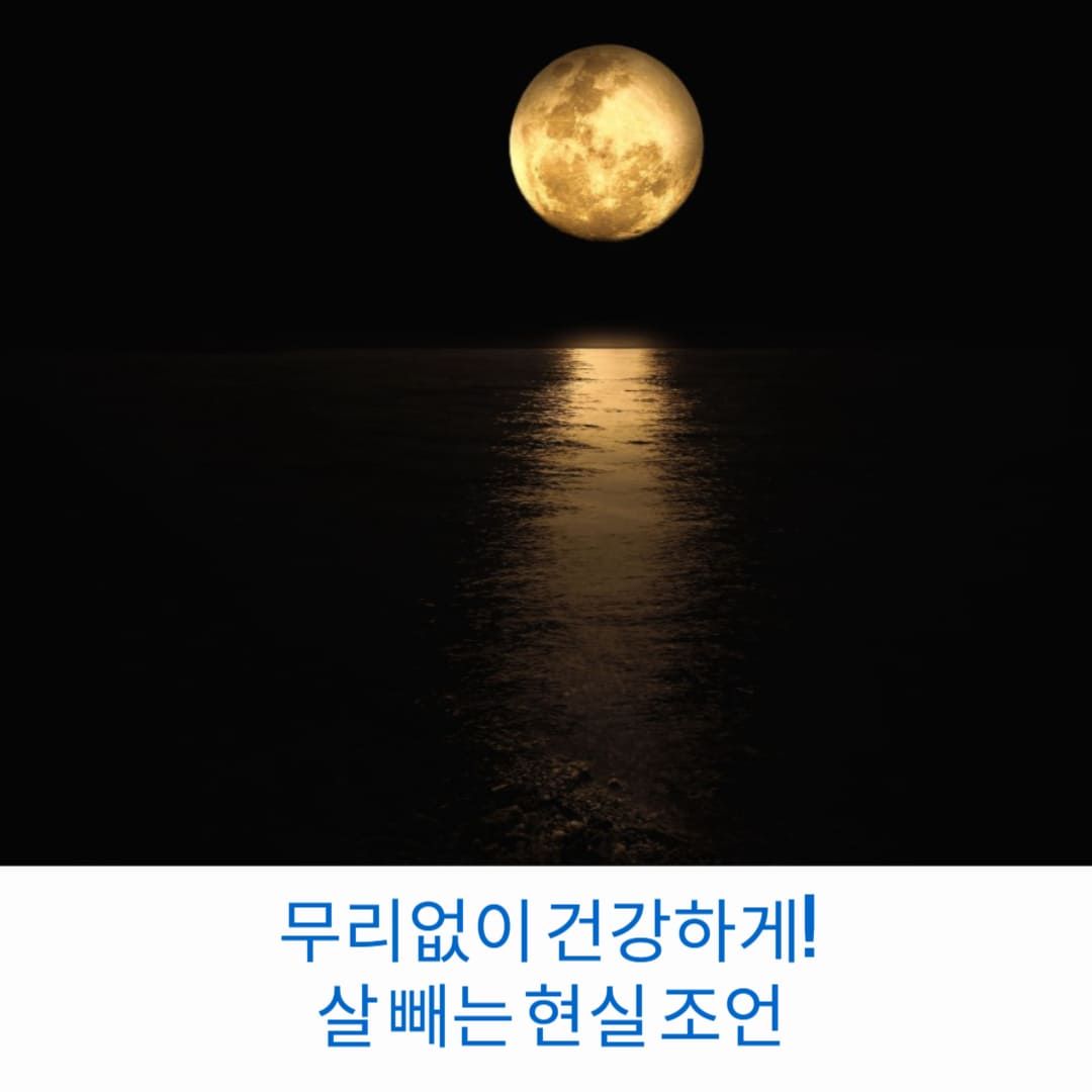 무리없이-건강하게-살-빼는-현실-조언-썸네일