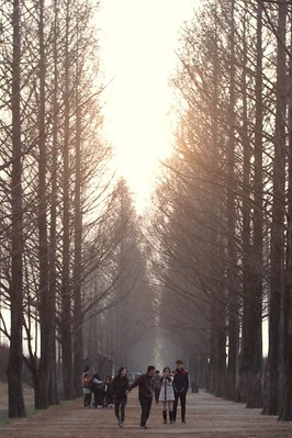 5월-국내-여행지-추천-담양