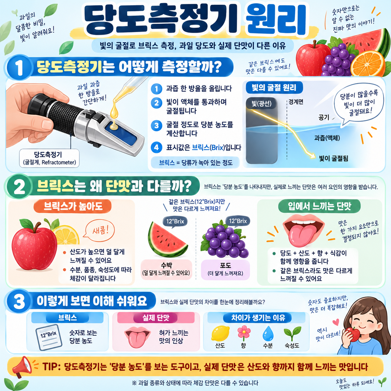 당도측정기 원리 ❘ 빛의 굴절로 브릭스 측정, 과일 당도와 실제 단맛이 다른 이유