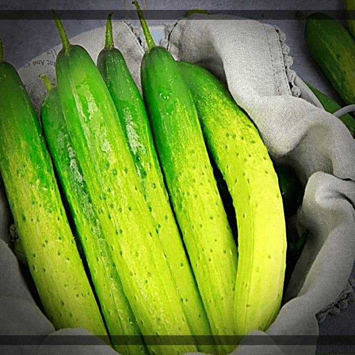 바구니에-담긴-오이