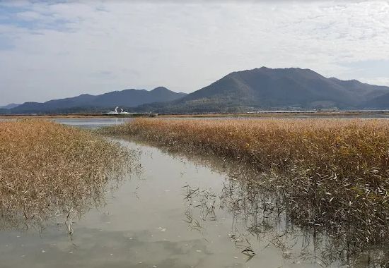 강진만생태공원