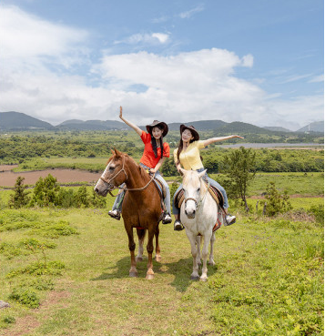 제주투어패스 구매&#44; 예약&#44; 사용방법