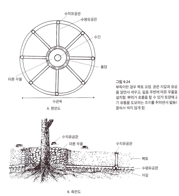 마른우물(조경수 식재관리기술)