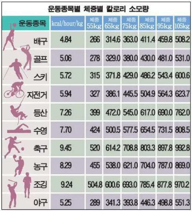 운동종목별 체중별 칼로리 소모량