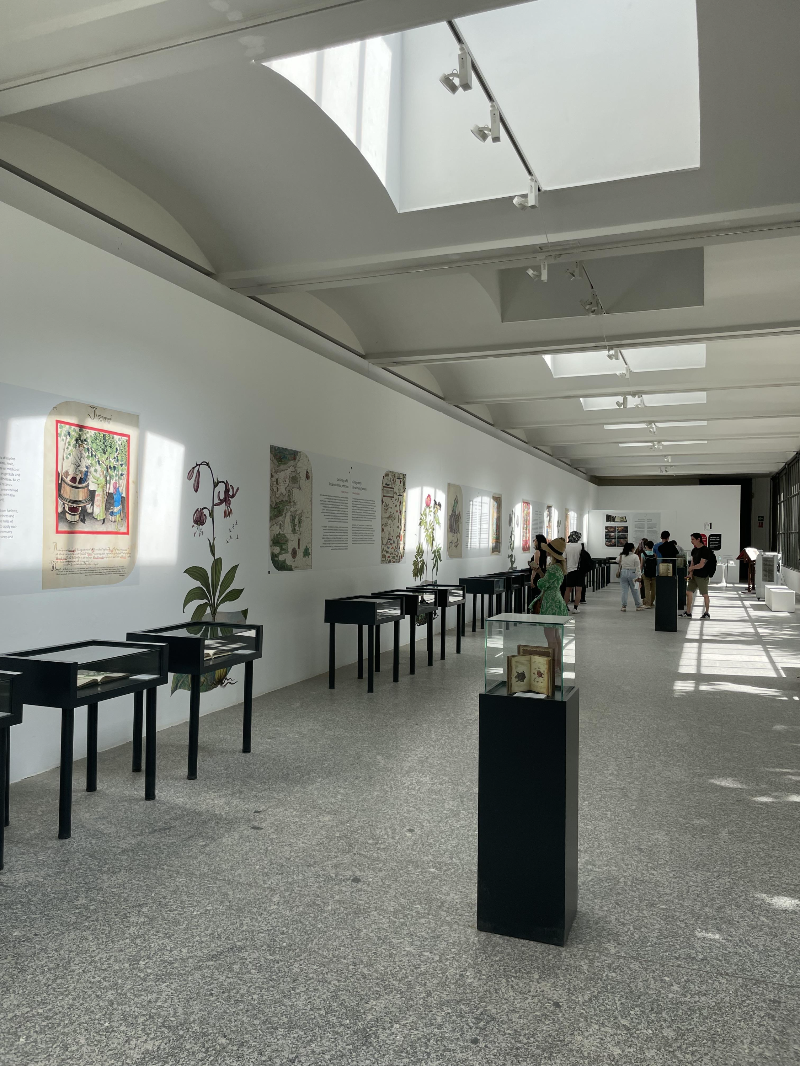 마드리드 왕립식물원 - 빌라누에바 파빌리온 실내