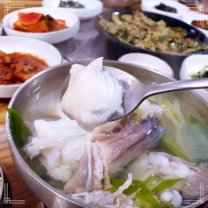 생생정보 물메기탕 대구탕 해물 갈치탕 맛집