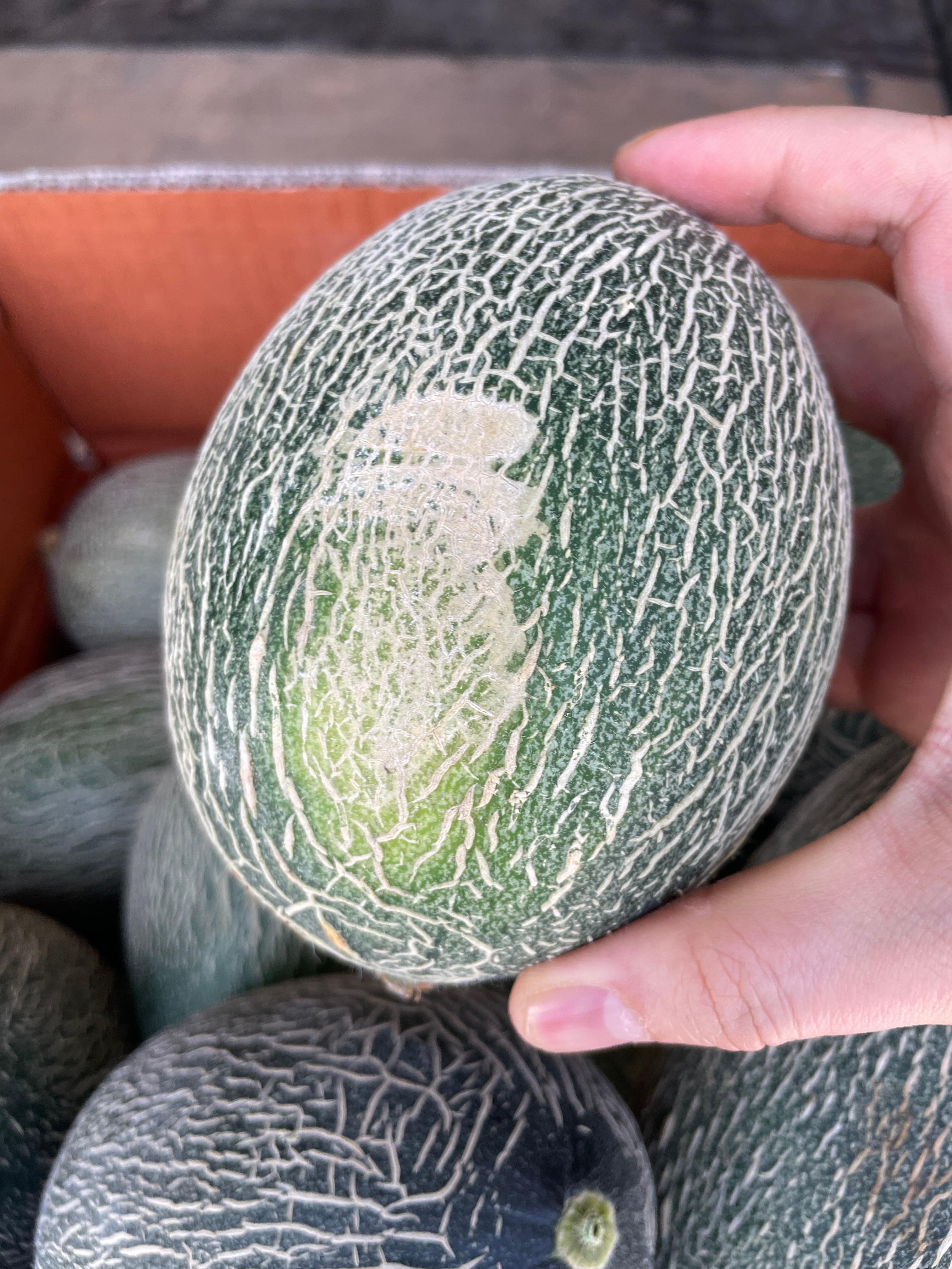 하미과멜론 건강