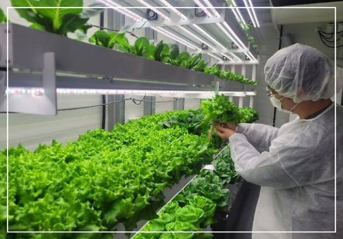 스마트팜 스마트농업