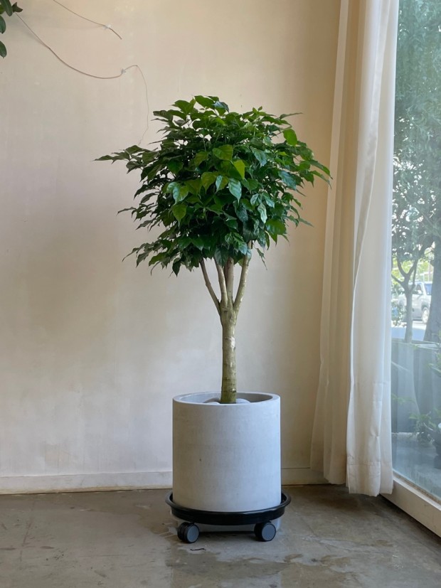 개업 축하 문구