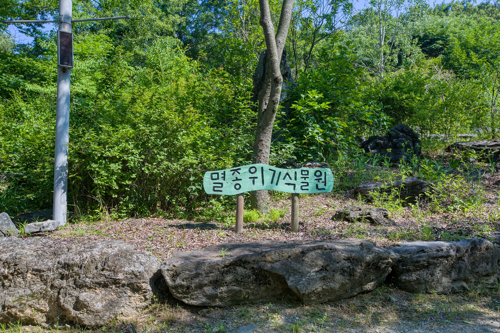 신구대 식물원 - 27