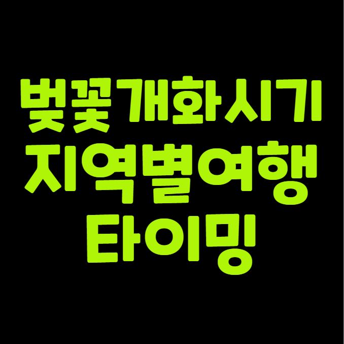 벚꽃 개화 시기 지역별 여행 타이밍