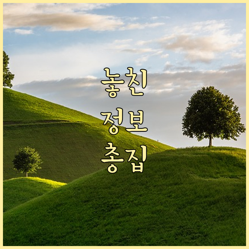 신한은행 대출 FAQ: 심사 기간,