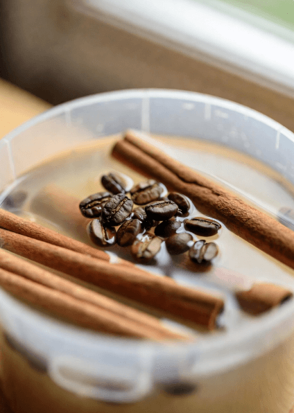 무산소 발효 커피 가이드 ( 무산소 발효, 미생물의 마법, 향미, 무산소 추출법, 스페셜티 커피 )