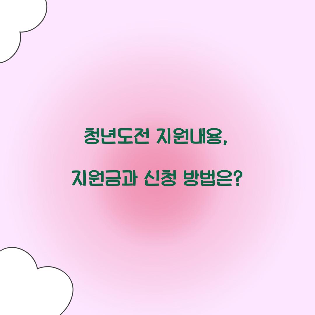 청년도전 지원내용