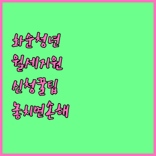 화순군 청년 월세 지원 자격 확인 및..