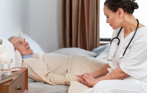 상황버섯 효능 부작용