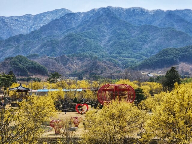 구례 산수유꽃 축제