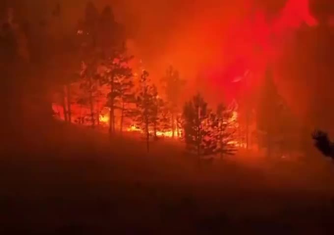 산불 국민행동요령 Q&amp;A&hellip;