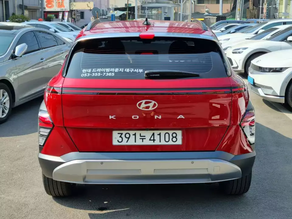 코나 뒷모습입니다.