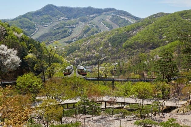 화담숲 예약