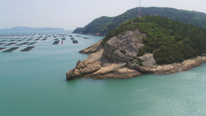 완도 보길도에서 경험하는 여름 섬 풍경과 바다의 결이 이루는 고요한 휴식의 시간