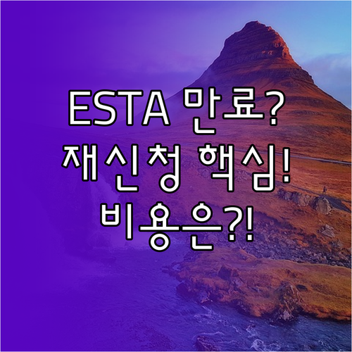 ESTA 유효기간 만료 시 재신청, ..