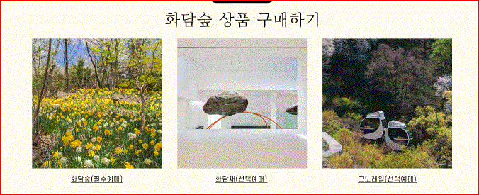 2025 화담숲 벚꽃 예약