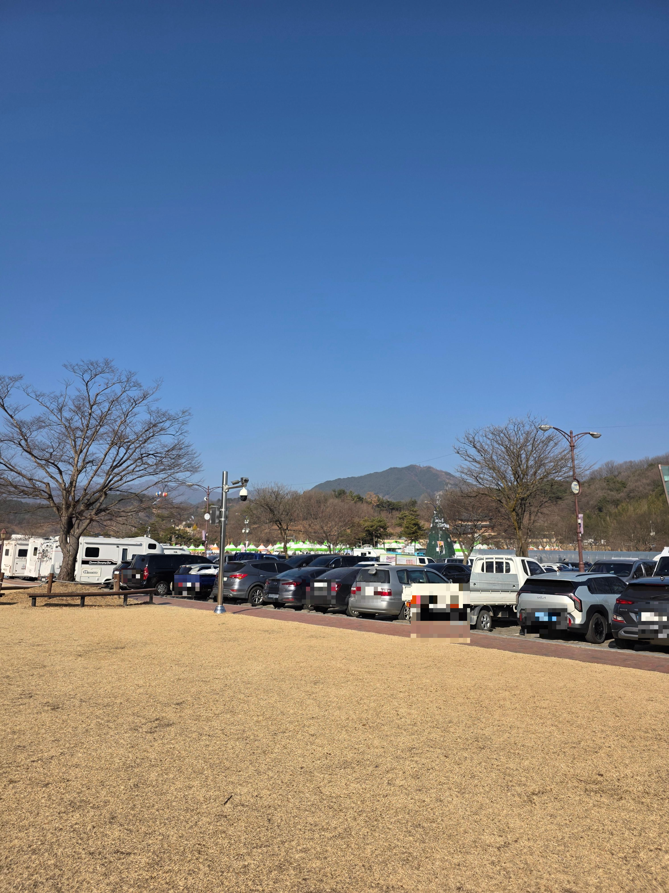 지리산 함양 고종시 곶감축제 주차 가격 행사 부스 05