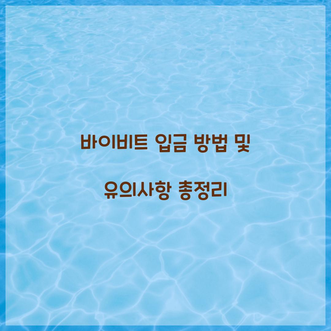 바이비트 입금