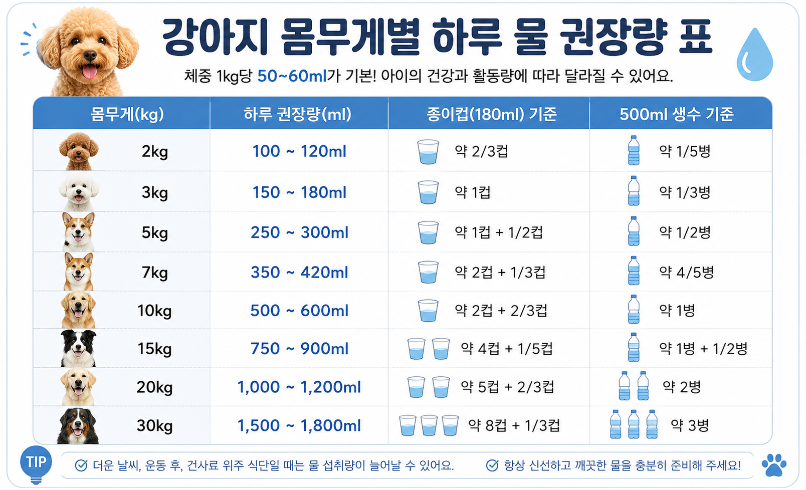 강아지 몸무게별 하루 물 권장량 정리 이미지