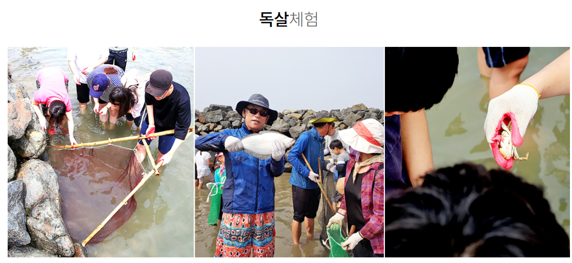 생방송투데이 태안 3GO여행 태안세계튤립꽃박람회 독살체험 우럭젓국 간장게장 꽃지해수욕장 낙조