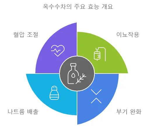 옥수수차 이뇨작용