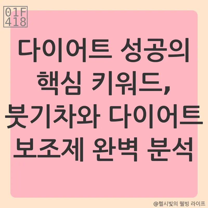 다이어트 보조제_2