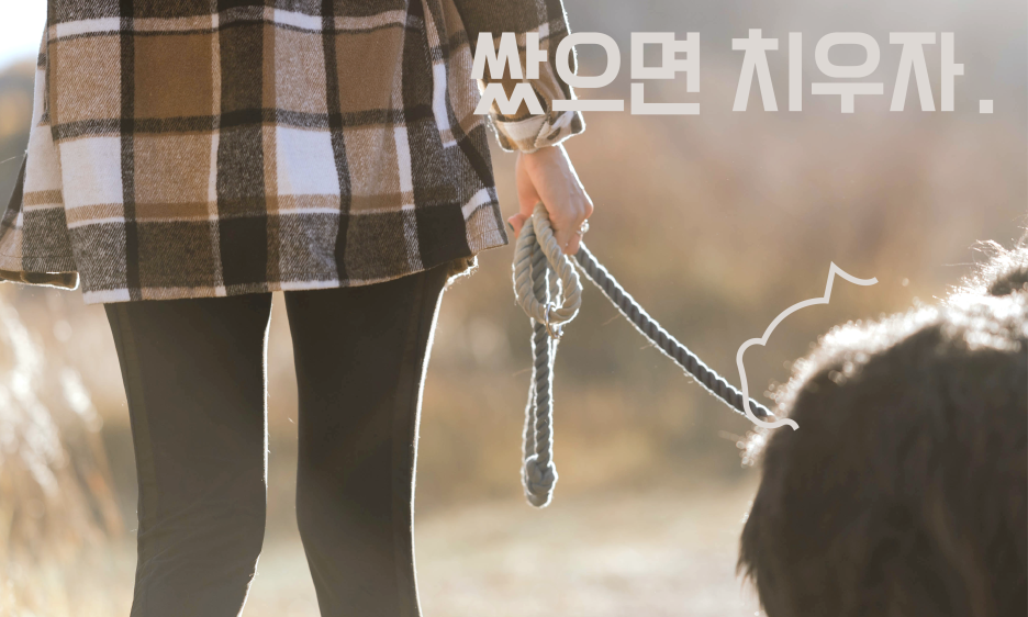 강아지 배변