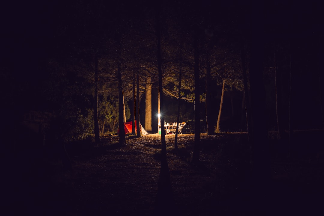 Campsite