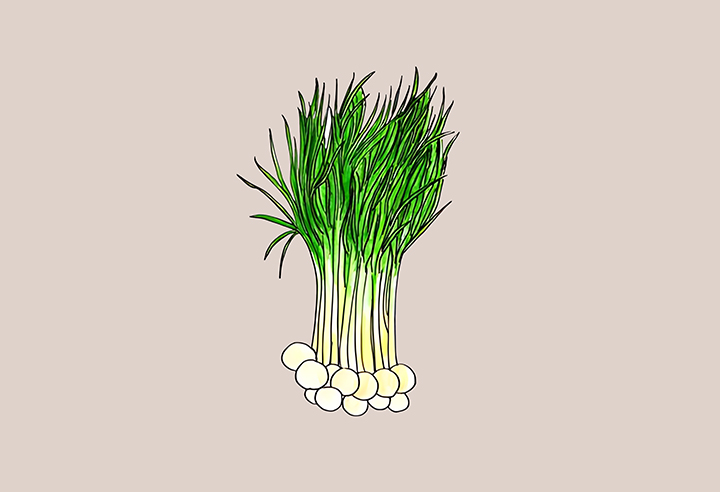 달래-하루-섭취-권장량